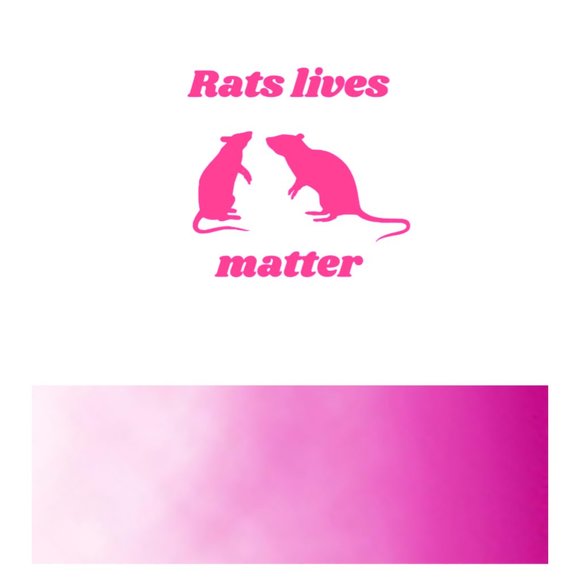 Rats Lives Matter- Funny Rats Vinyl Decals Car, Laptop, Windows - Picture 7 of 15